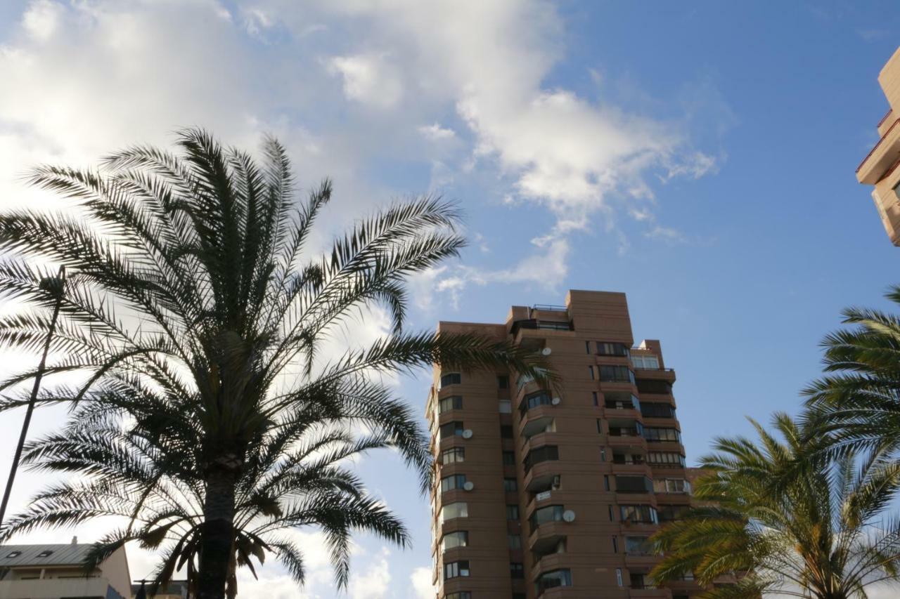 Sur Palmeras 3 Apartment *